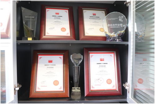 鵬旗展翅九天，服務創造未來——探索信息系統集成服務的核心價值