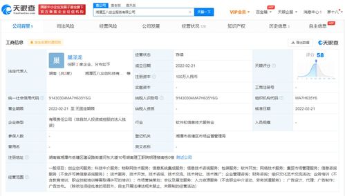 信息系統集成服務的核心價值與未來發展趨勢